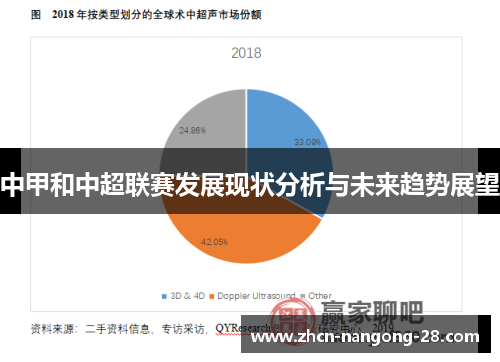 中甲和中超联赛发展现状分析与未来趋势展望