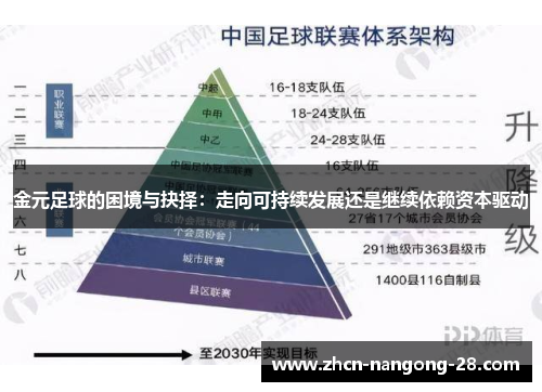 金元足球的困境与抉择：走向可持续发展还是继续依赖资本驱动
