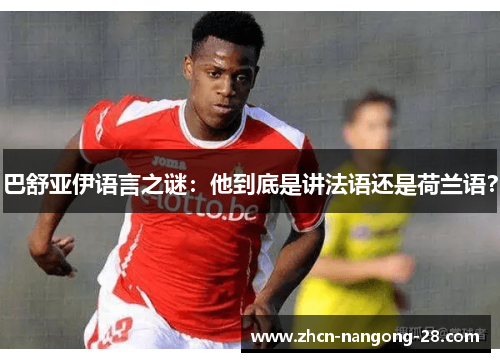 巴舒亚伊语言之谜：他到底是讲法语还是荷兰语？