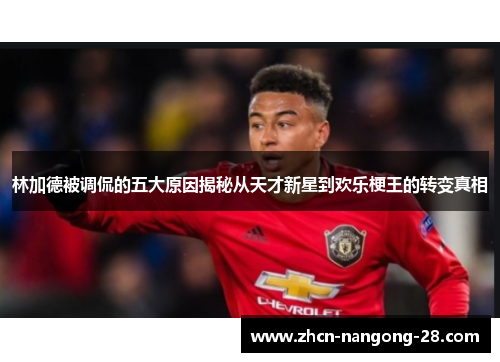 林加德被调侃的五大原因揭秘从天才新星到欢乐梗王的转变真相