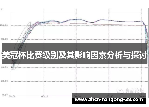 美冠杯比赛级别及其影响因素分析与探讨